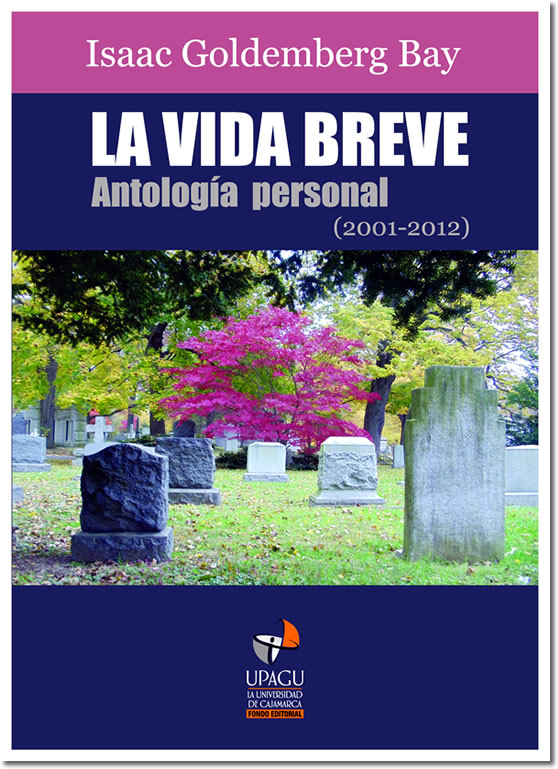 critica-ajperez-igoldemberg-portada critica-ajperez-igoldemberg-portada