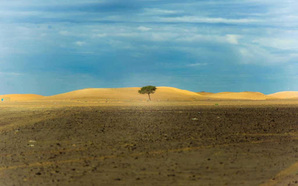 karim-manjra-ulquHF89xuY-unsplash Photo by Karim MANJRA on Unsplash