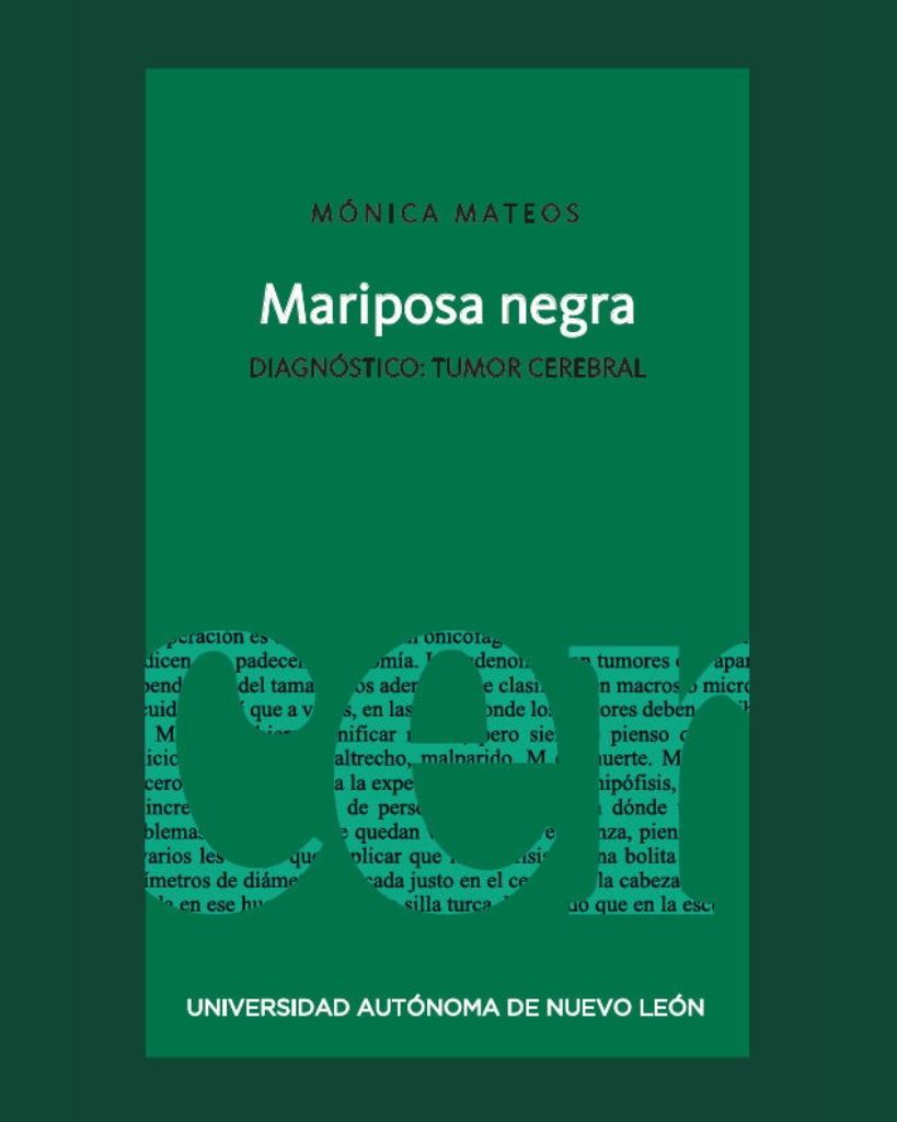 mariposa-negra